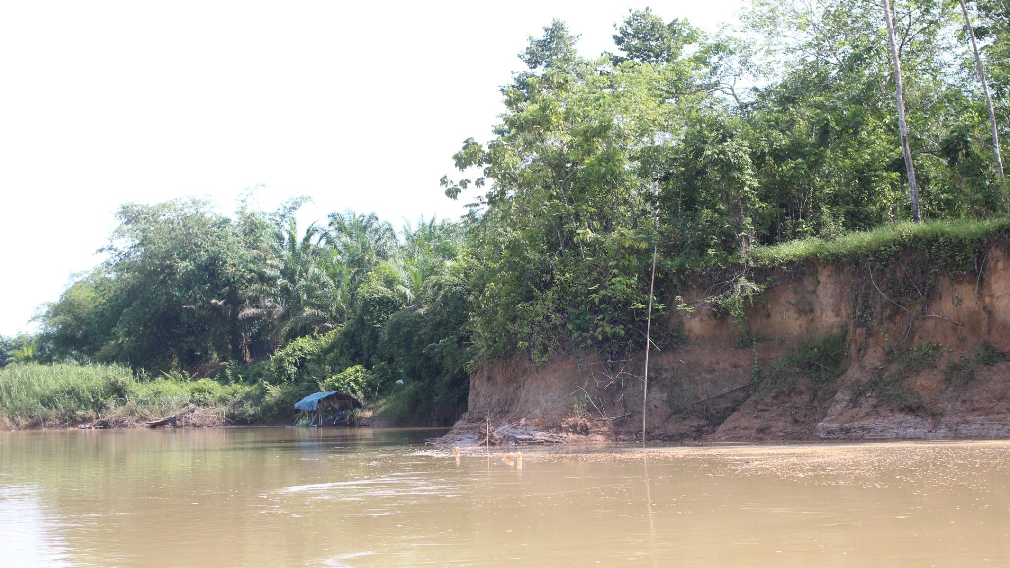 picwatreaaaaa00226301 01 65