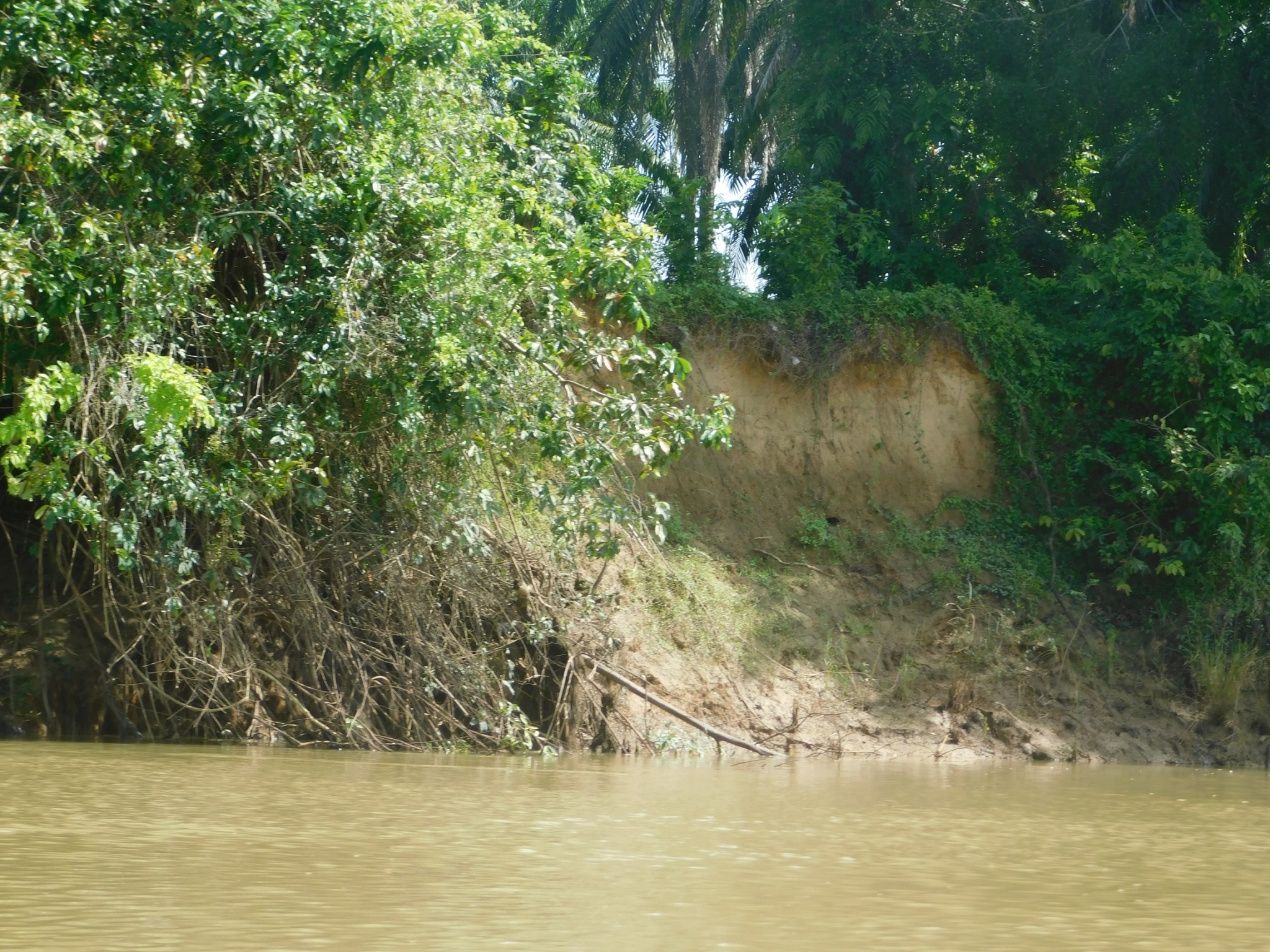 picwatreaaaaa006301 01 65