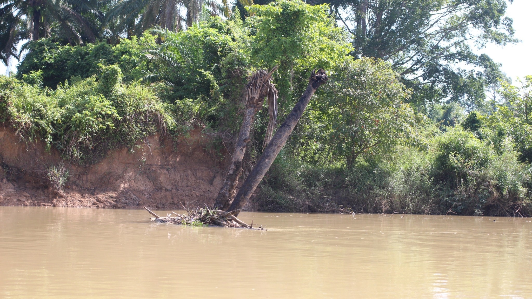 picwatreaaaaa00678301 01 65