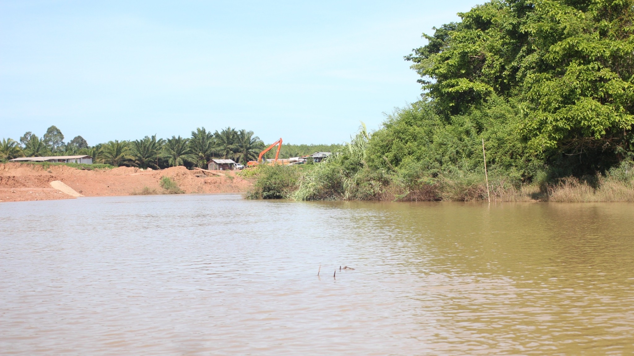 picwatreaaaaa0069678301 01 65