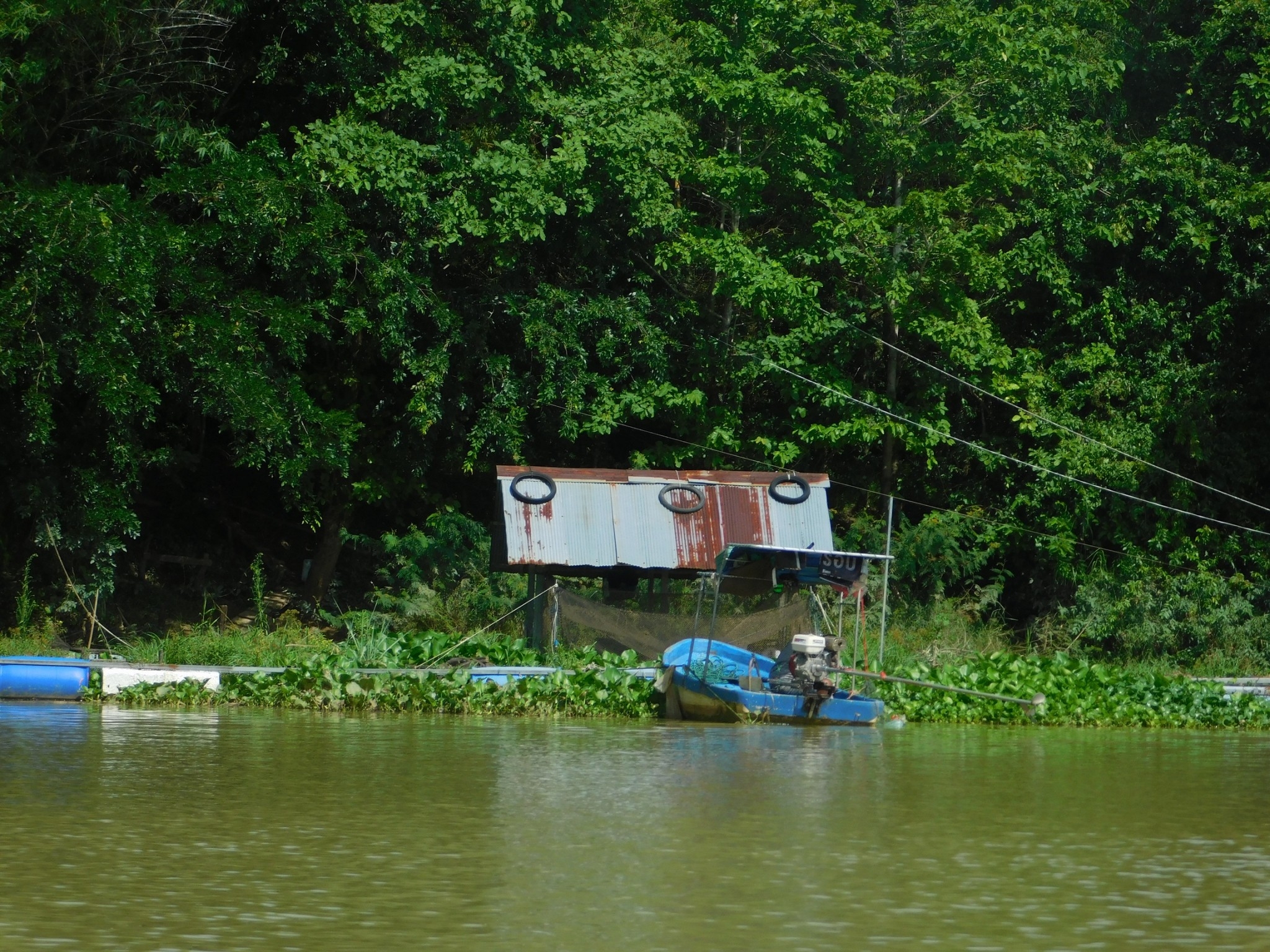 picwatreaaaaa01 01 65