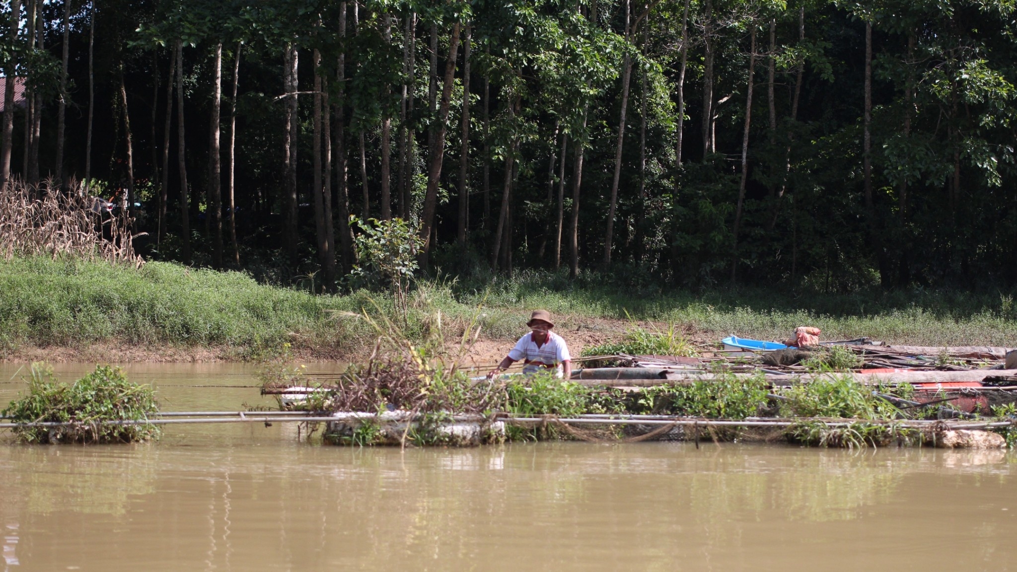 picwatreaaaaa96300678301 01 65