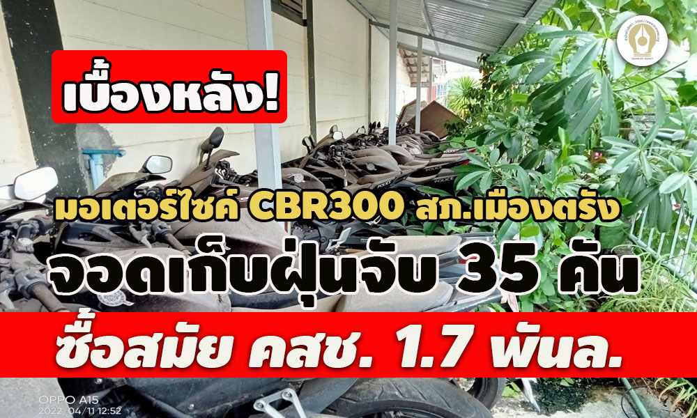 picmotreddsdadsddsddss0024 13 65