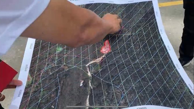 pictreeeweweweew002216 7 65