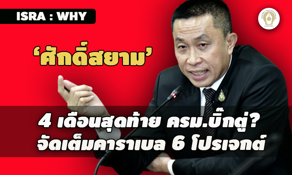 picpppcchhgdsdsdsdsdsdsdsds11 13 65