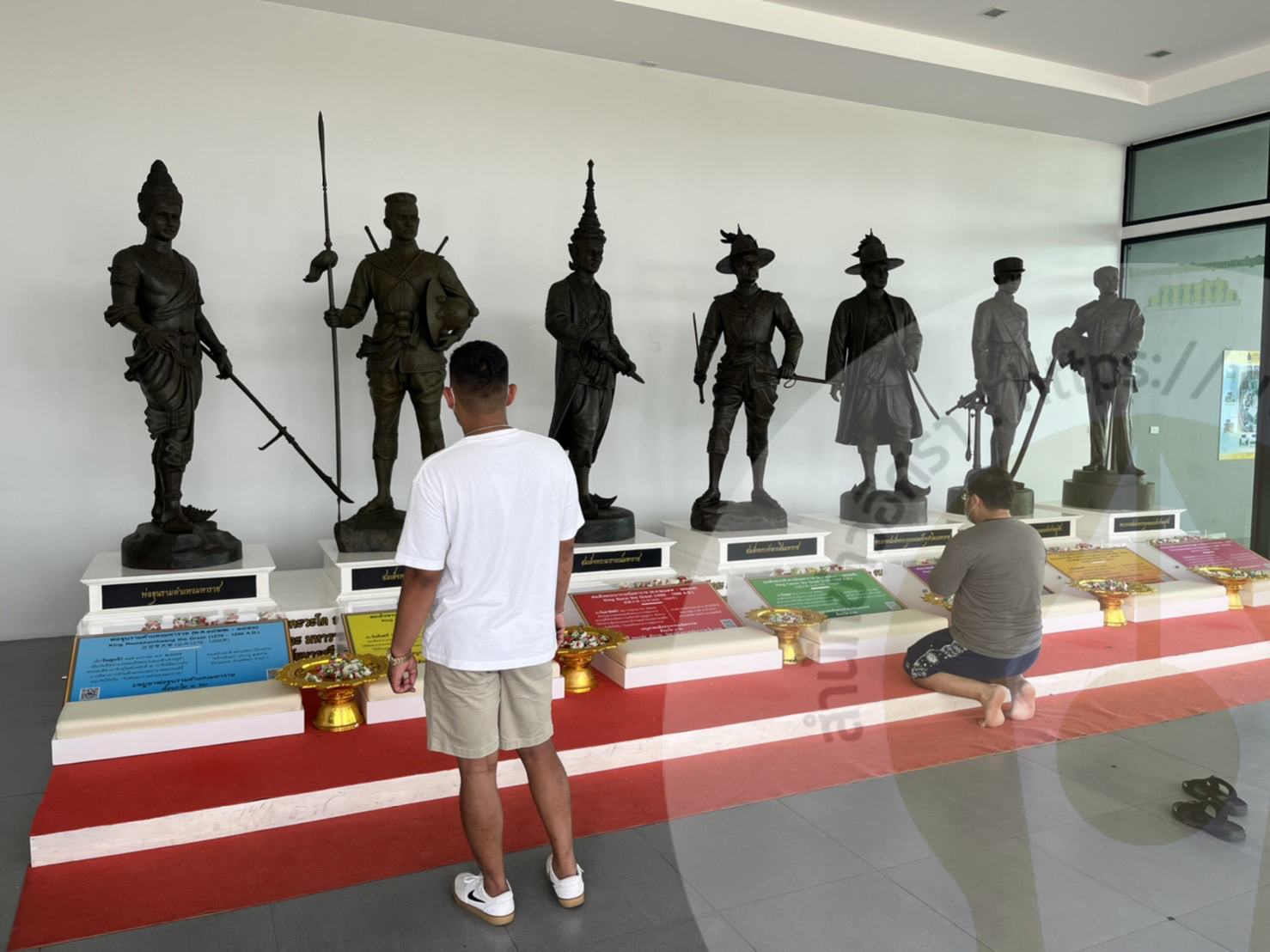 picraaapo444037 11 65