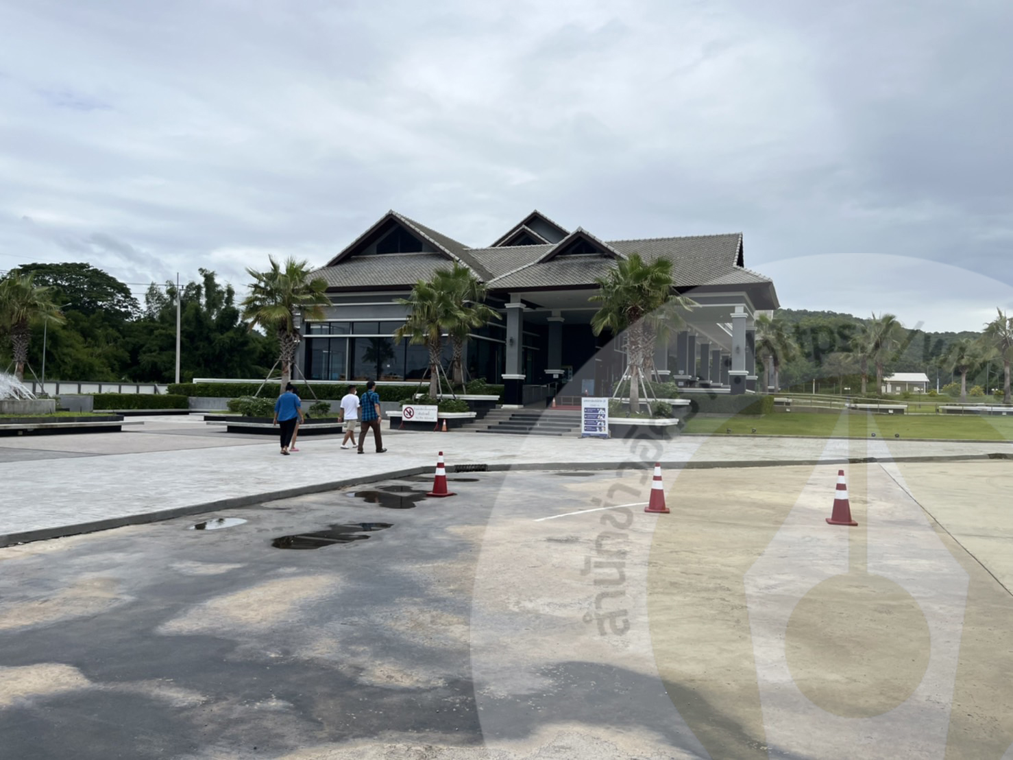 picraaapo445554037 11 65