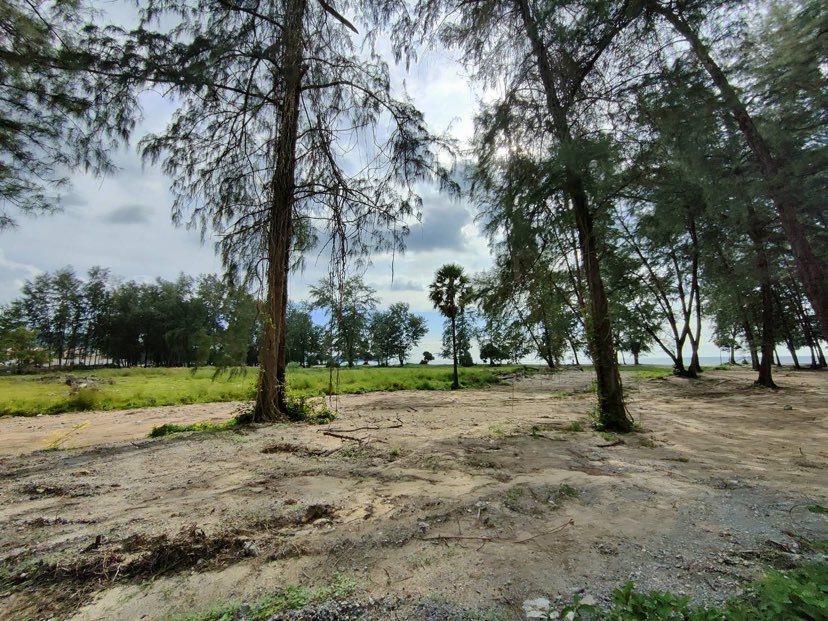 314653963 631603315419334 6757673121524499942 n