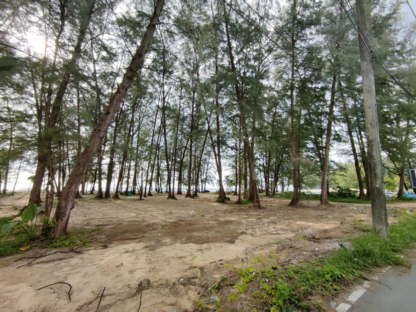 314792256 3289760834596626 7124520085136602908 n