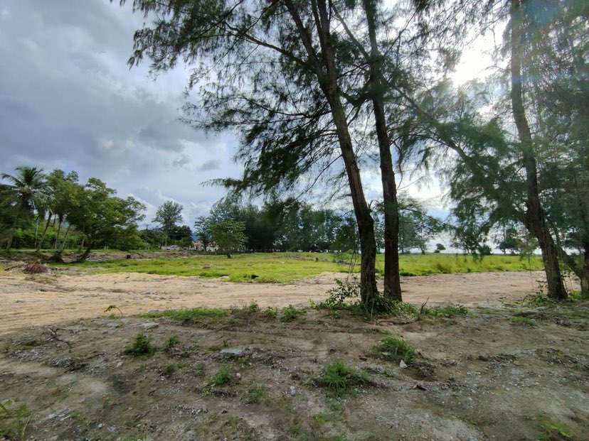 315012398 3308716242709474 555930938455379599 n