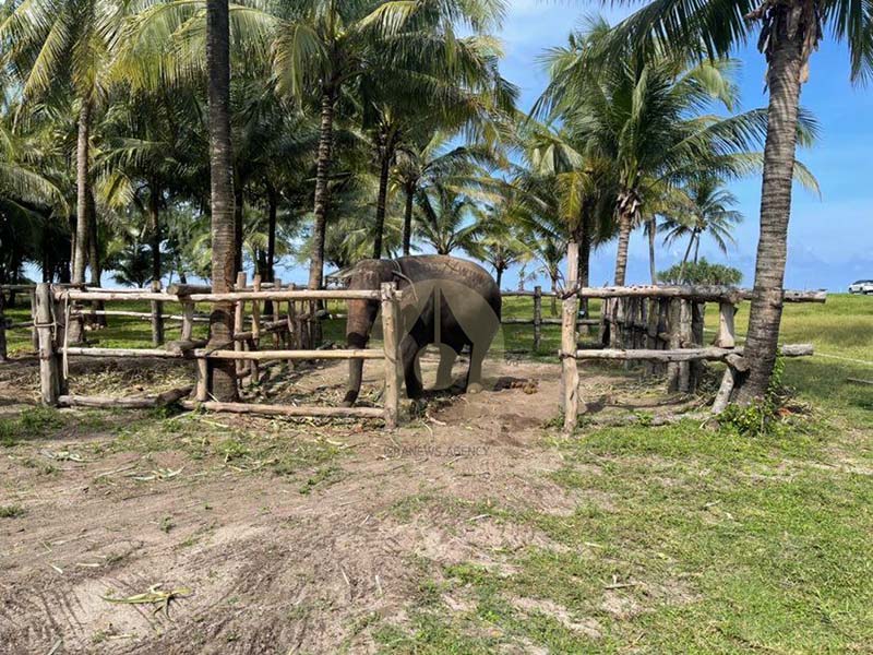 308396758 1251925025603993 2444511209366459004 n