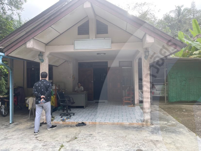 picppckabeee00009 16 65