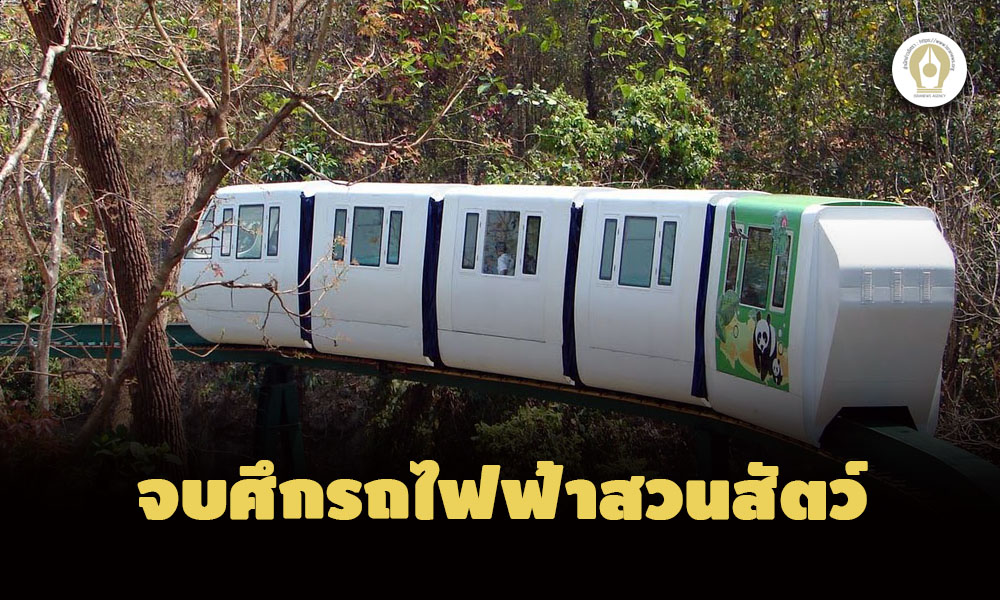 picpppczoookkz10 21 65