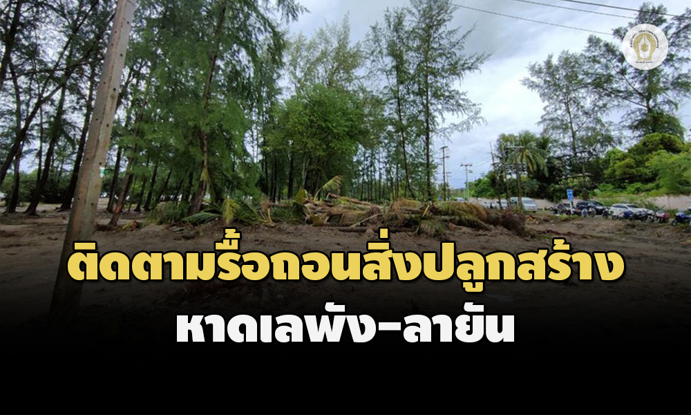 Liang221065 Cover3.0