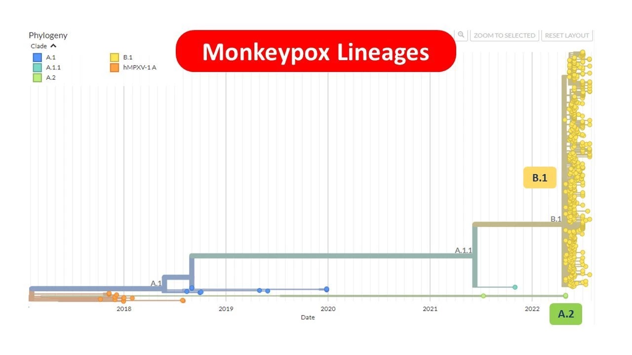 280722 monkeypox1