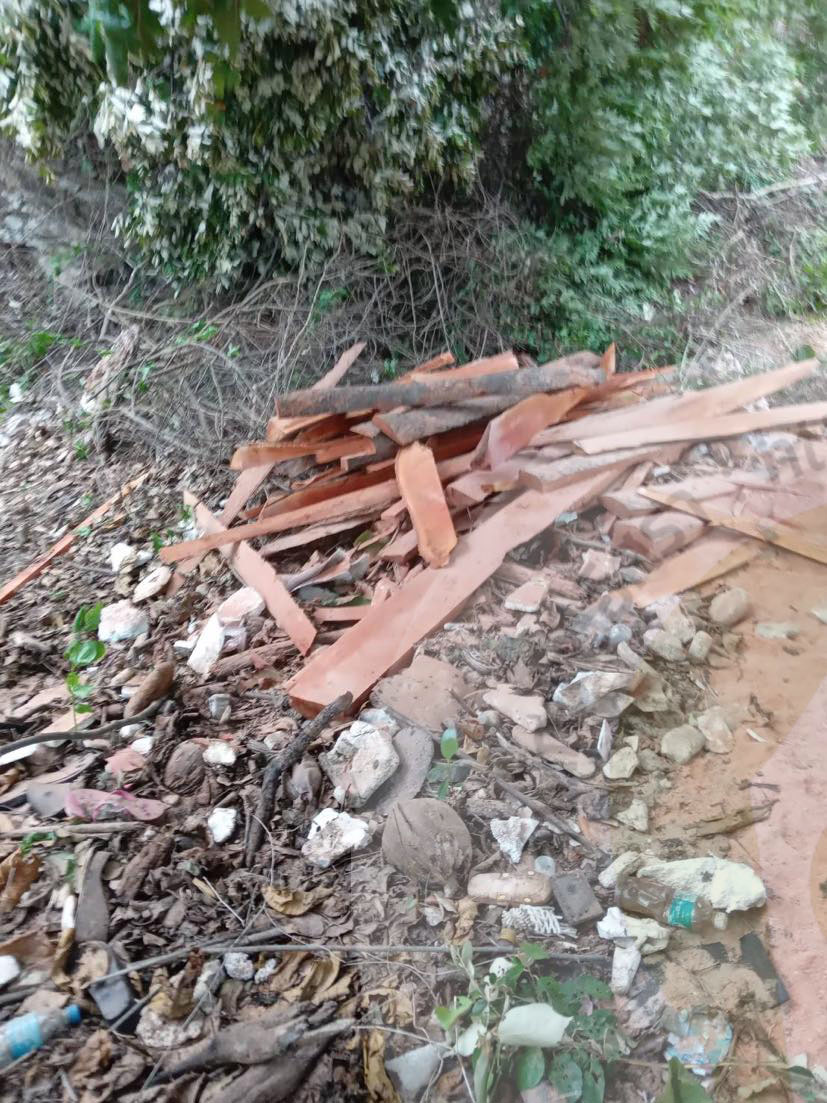 pictreeeso00967 5 65