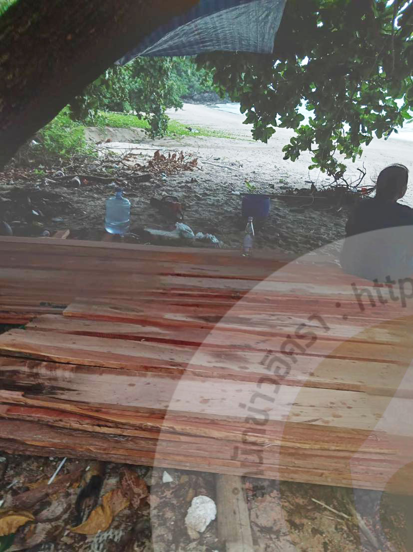 pictreeeso01967 5 65