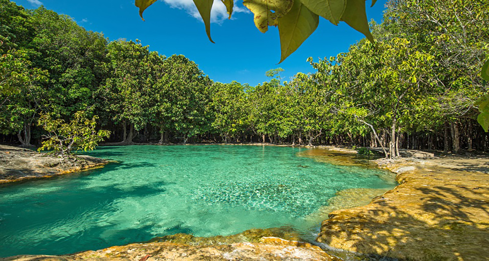 Amazing Emerald Pool Krabi Thailand