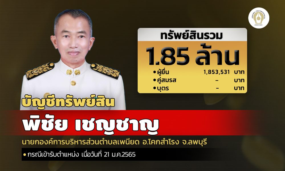 cover infopicha asset