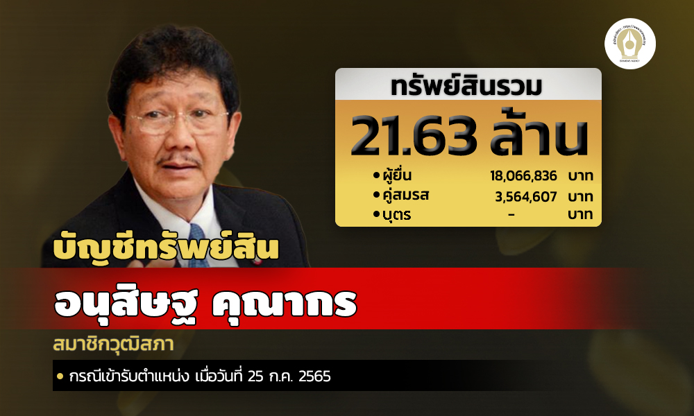 cover infoanusit asset