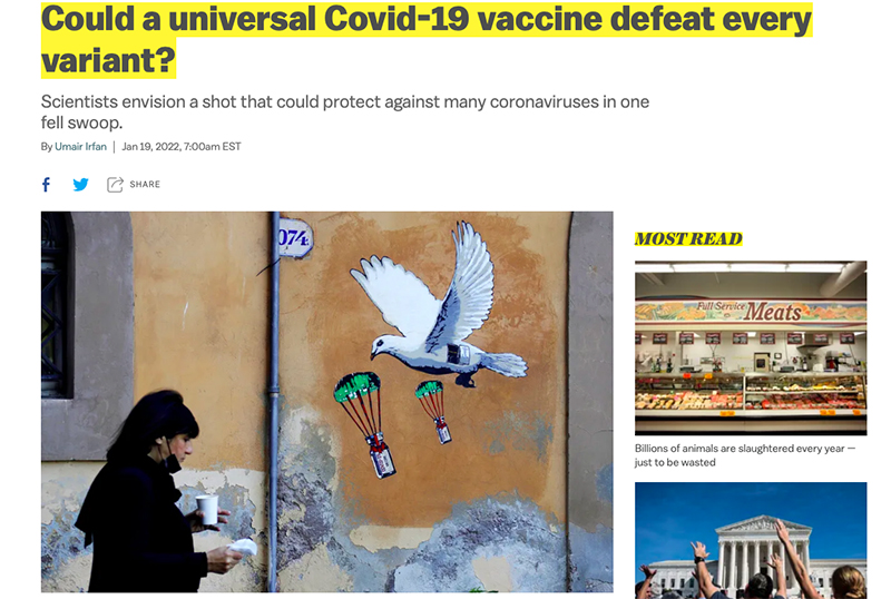 310165PanVaccine P02