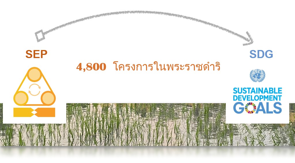 messageImage 1645683372072