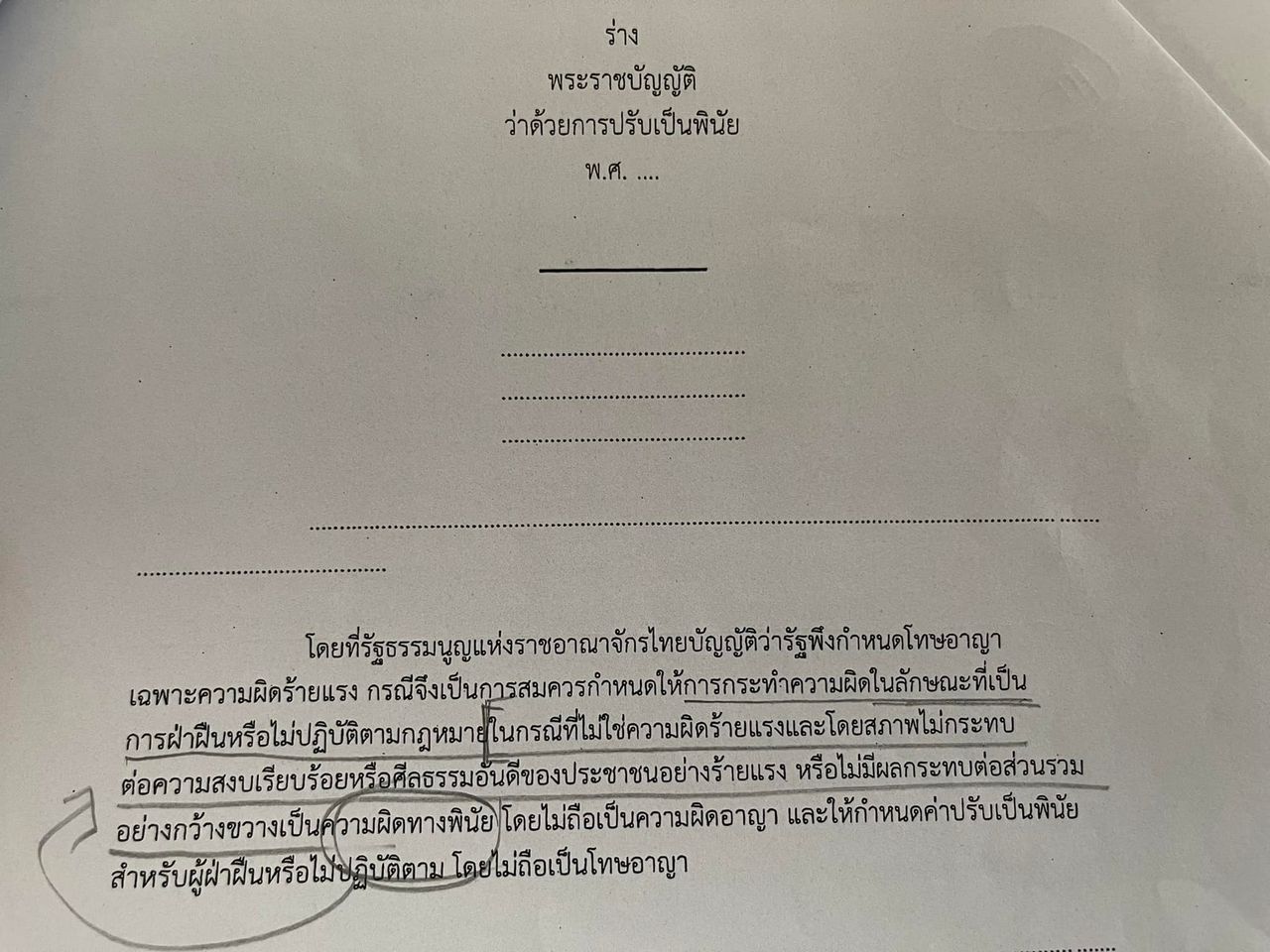 275027595 4916348771742371 3772656395781320017 n