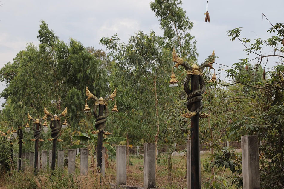 picppcfiiisaasdsdsds003 25 65