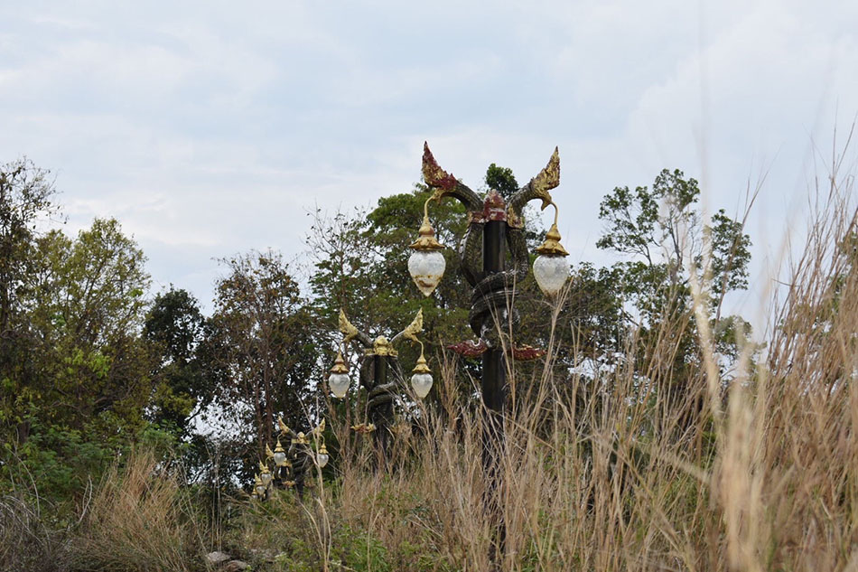 picppcfiiisaasdsdsds043 25 65