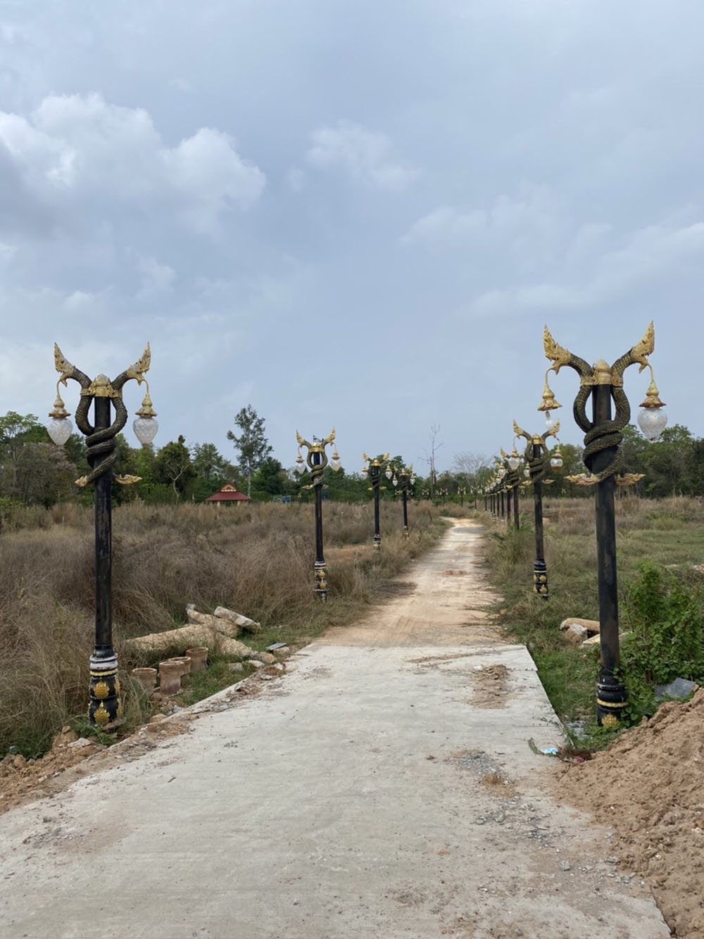 picppcfiiisaasdsdsds3 25 65