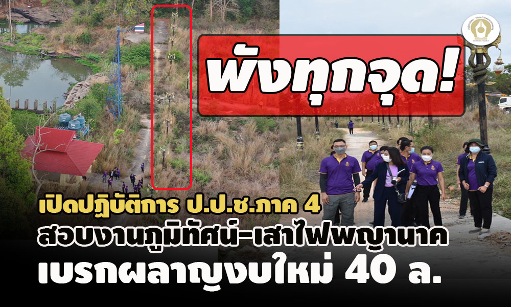 picpppckkedfsasdsdsdsd3 25 65