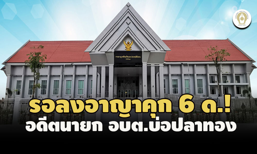 picpppkesdsassssasdsdsd3 25 65