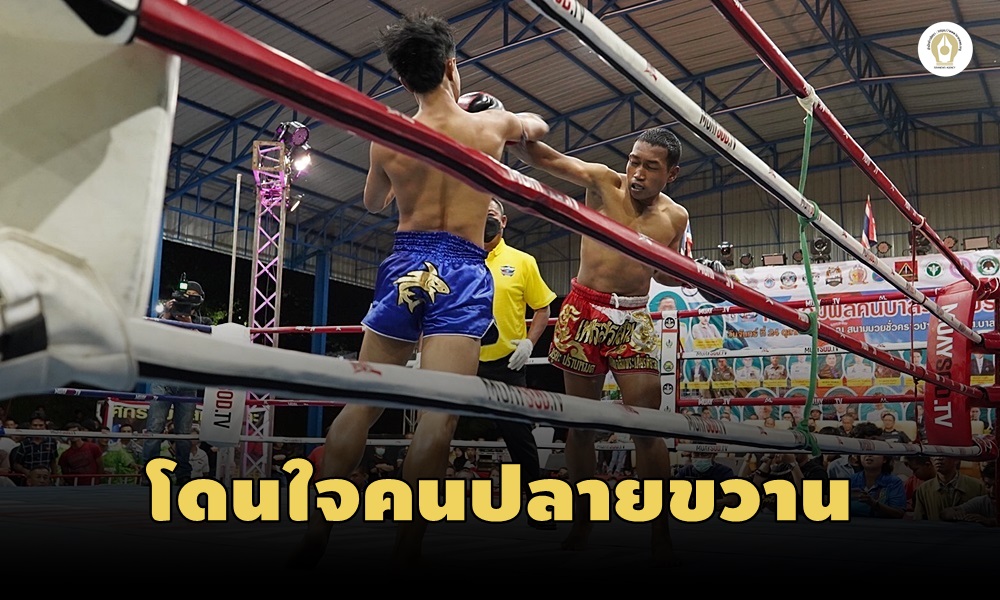 boxingpolitics301030