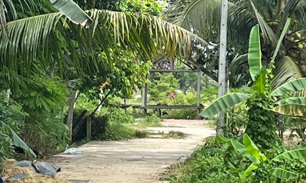 landminesteptani03103