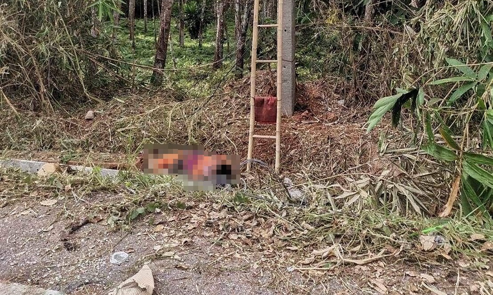 landminestepyaha031011