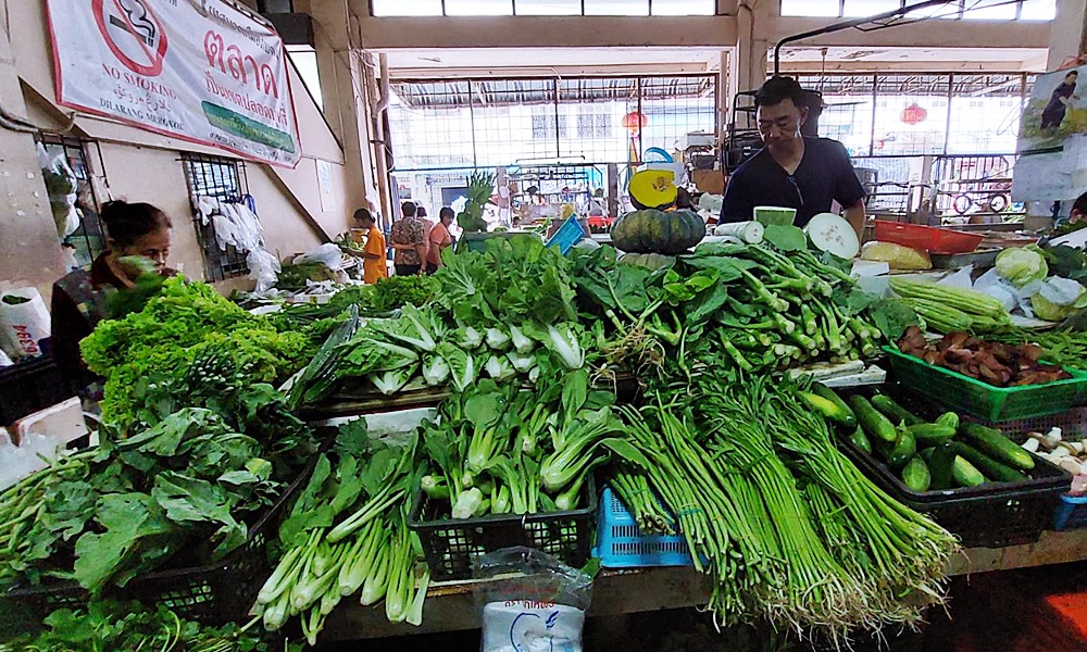 continuousrainsouth24115