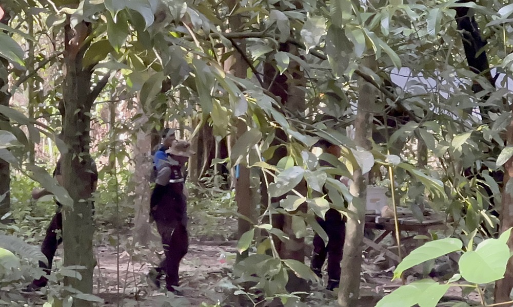 landminehuluparea09112