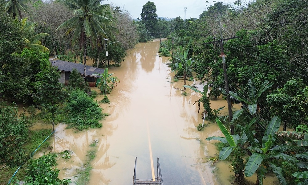 floodyalataninara281242