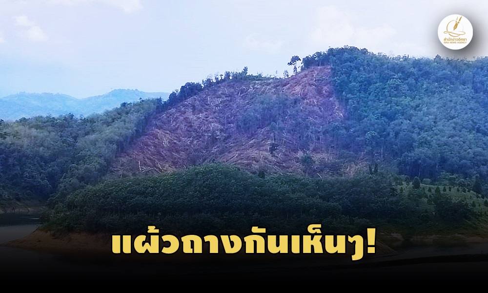 halabaladeforestation20120