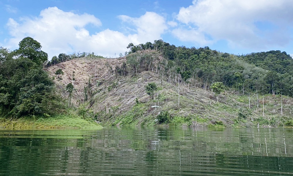 halabaladeforestation20122