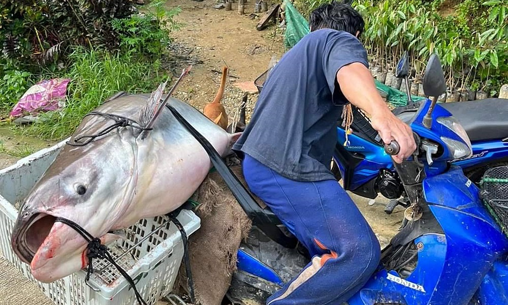 southbewareflood02127