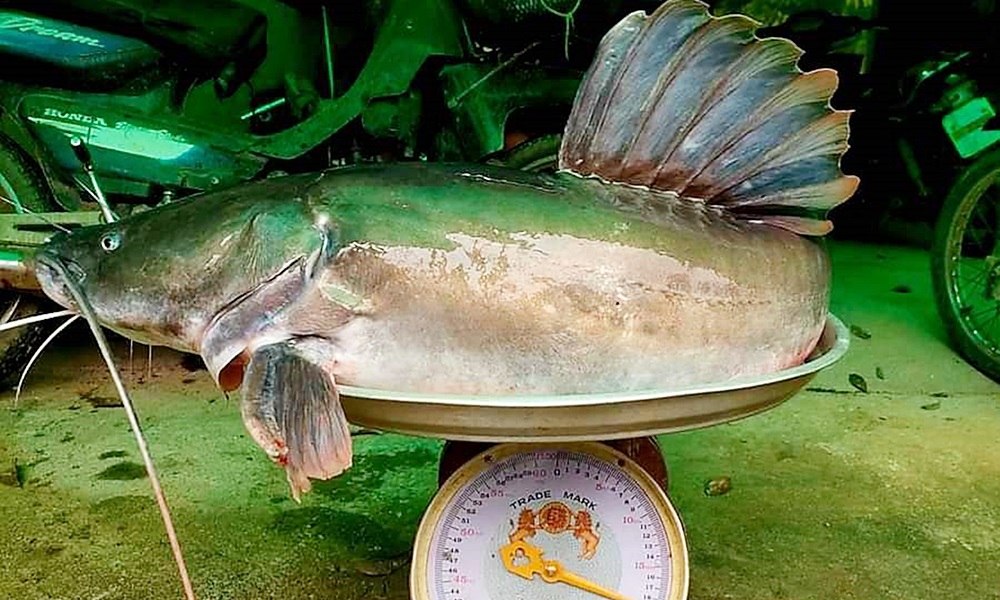 southbewareflood02128