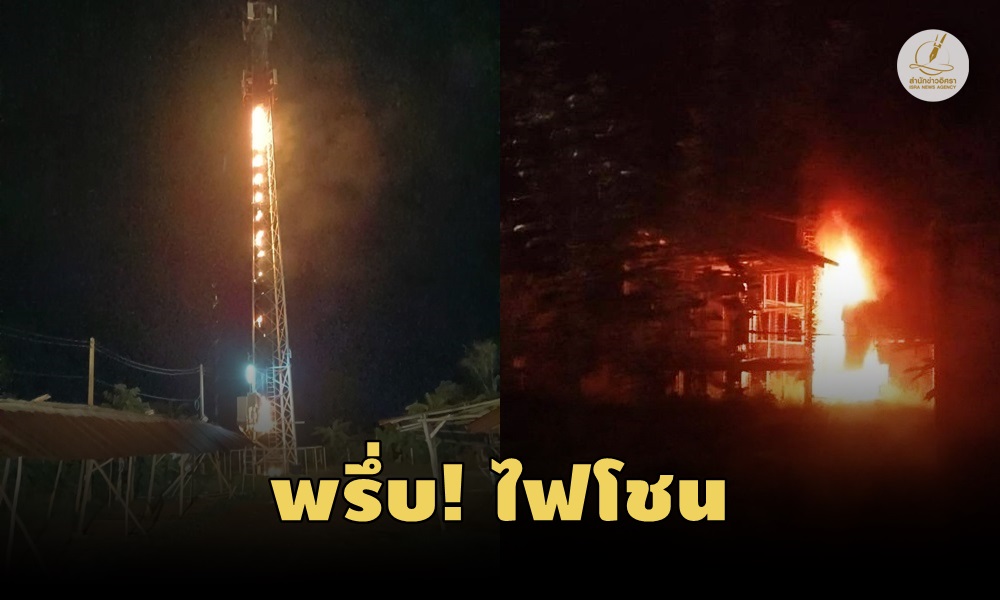 burntelephonepoles11050