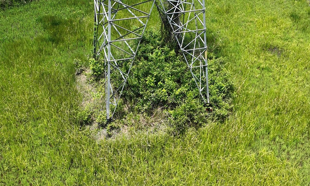 highvoltagepolepattani18052