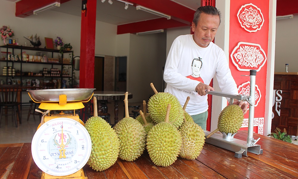 musangkingicecream30072