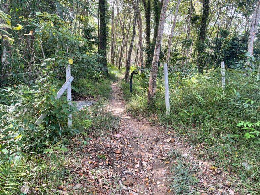 D65212BF A9F0 49B3 B8D5 C0AA074FBF86