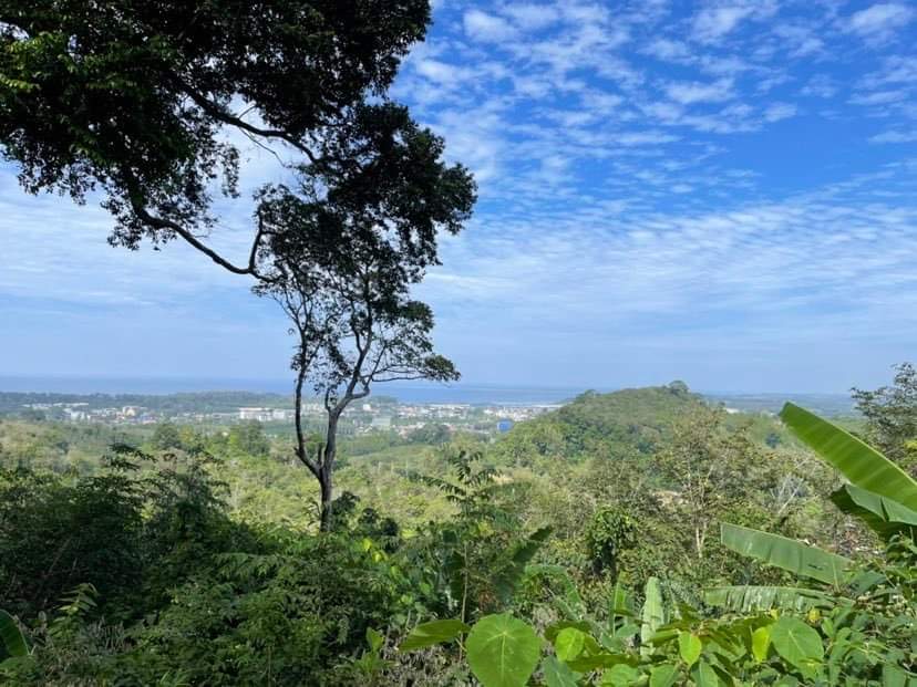 F98207C3 11CF 4A8F A643 7C1A21CF49B3