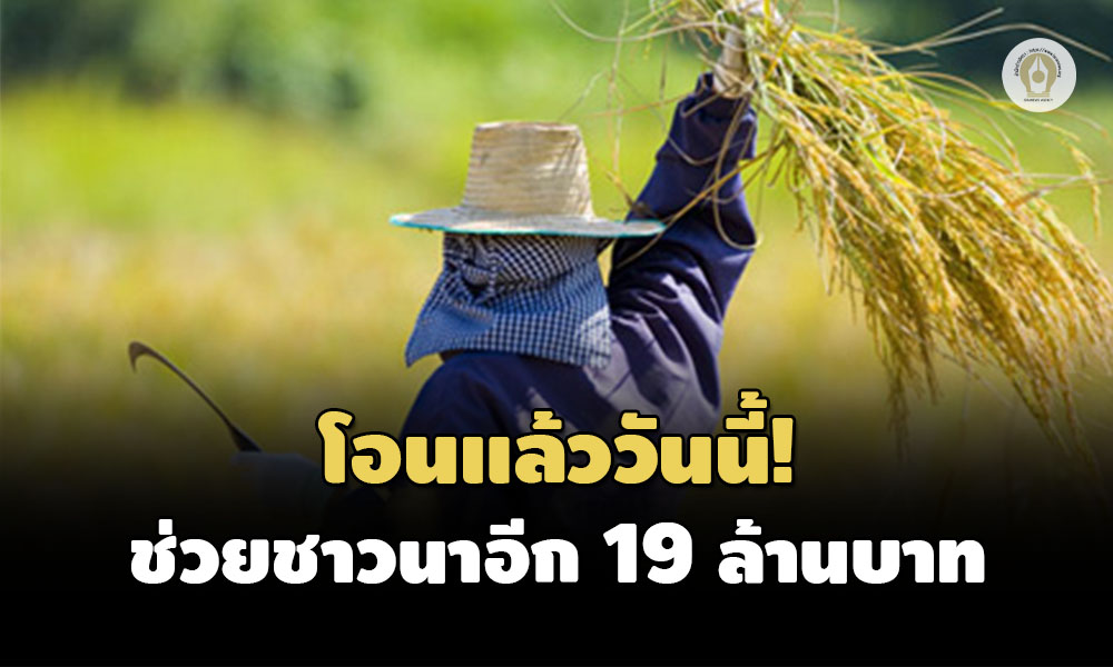 157A7920 501F 4147 8680 E7B3B6714279