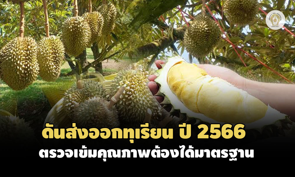 95B2A8D0 AABF 4466 A8EB E89B53D21F47