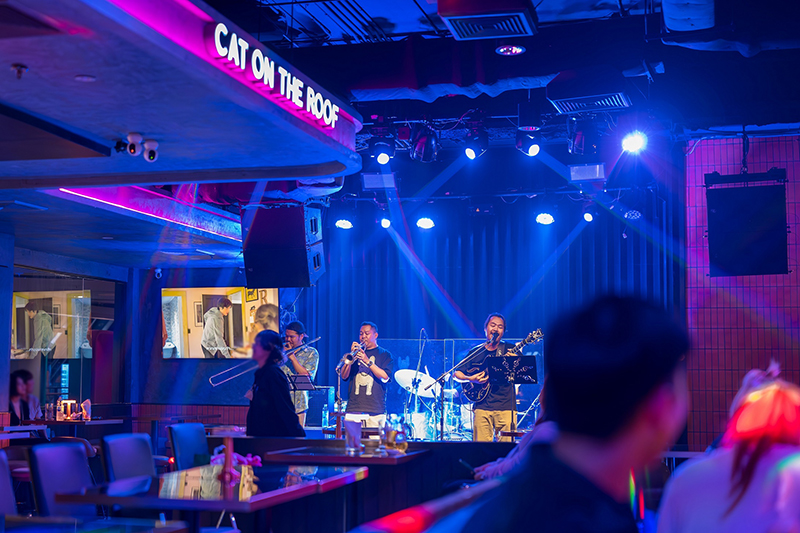 CAT ON THE ROOF mbk2212 2